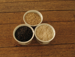 Uncooked wild rice, brown and white rice