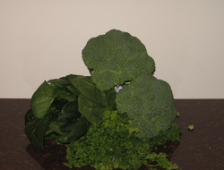 Green leafy vegetables are sources of folate