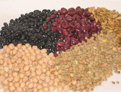 Legumes are good sources of molybdenum