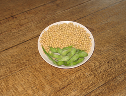 Soy and edamame beans