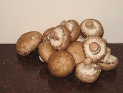 Mushrooms are a good source of chromium