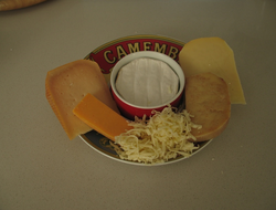 Cheese: a popular calcium containing food
