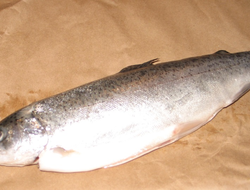 Trout contains unsaturated fatty acids