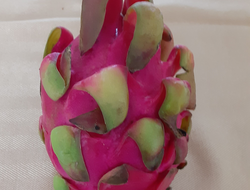 Dragon fruit