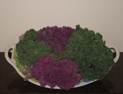 Green and purple kale