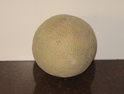 A "netted" cantaloupe