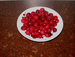 Cranberries are a good source of biotin