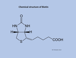 The chemical structure of biotin